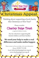 Christmas Appeal Poster by SprialNet Design